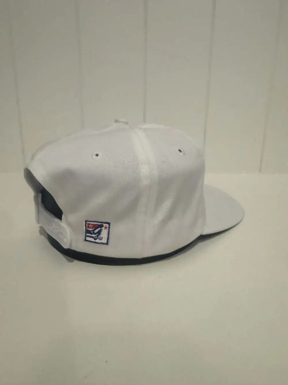 Vintage Alpha Sigma Phi Fraternity Snapback Hat by The Game